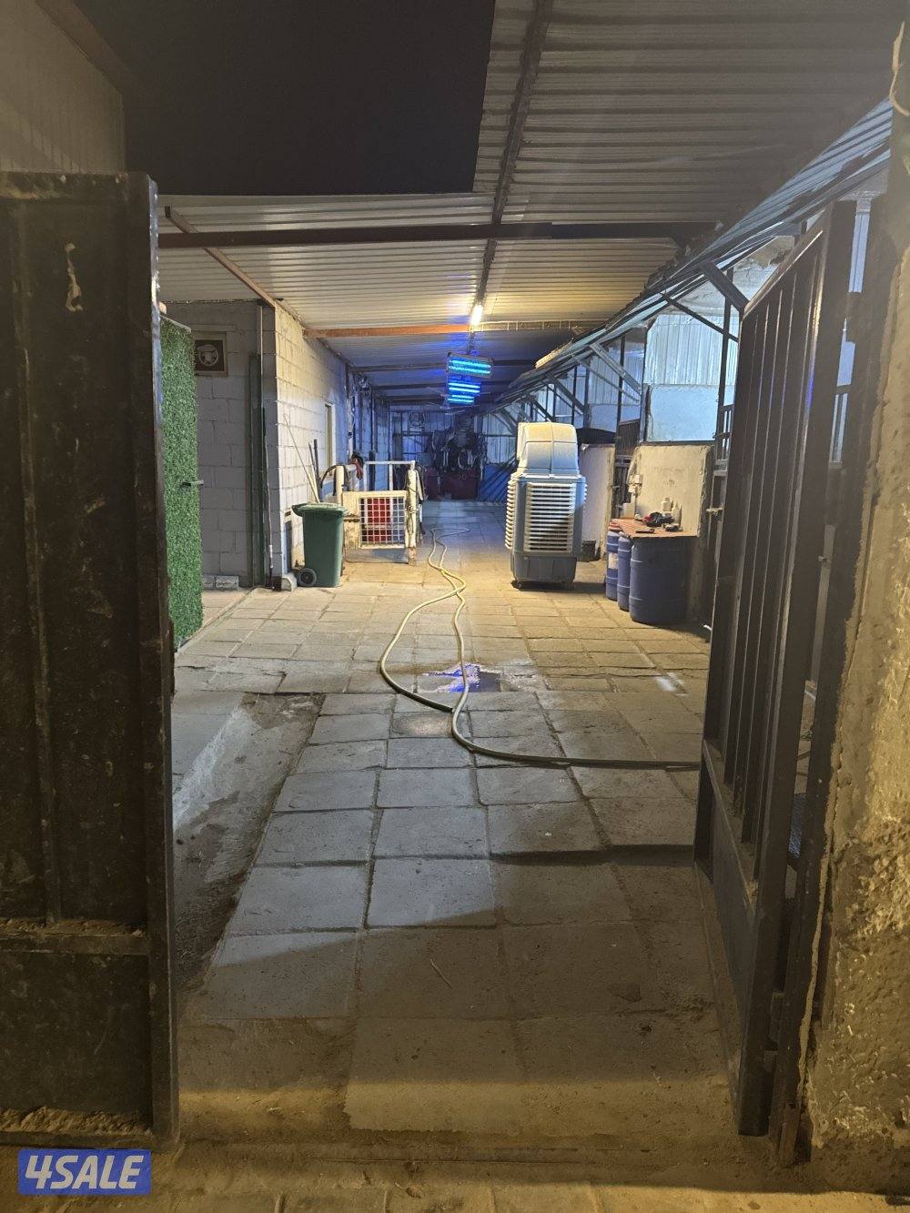 مربط الشهد لخدمات الخيل4