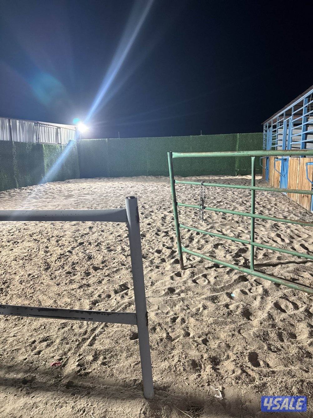 مربط الشهد لخدمات الخيل5