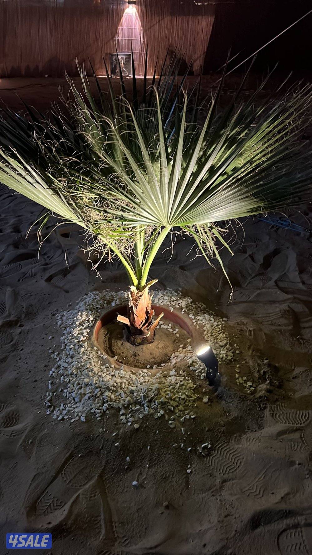 للايجار كشتة يومي التفاصيل تحت سوبر سوبر vip يصلح للجميع9