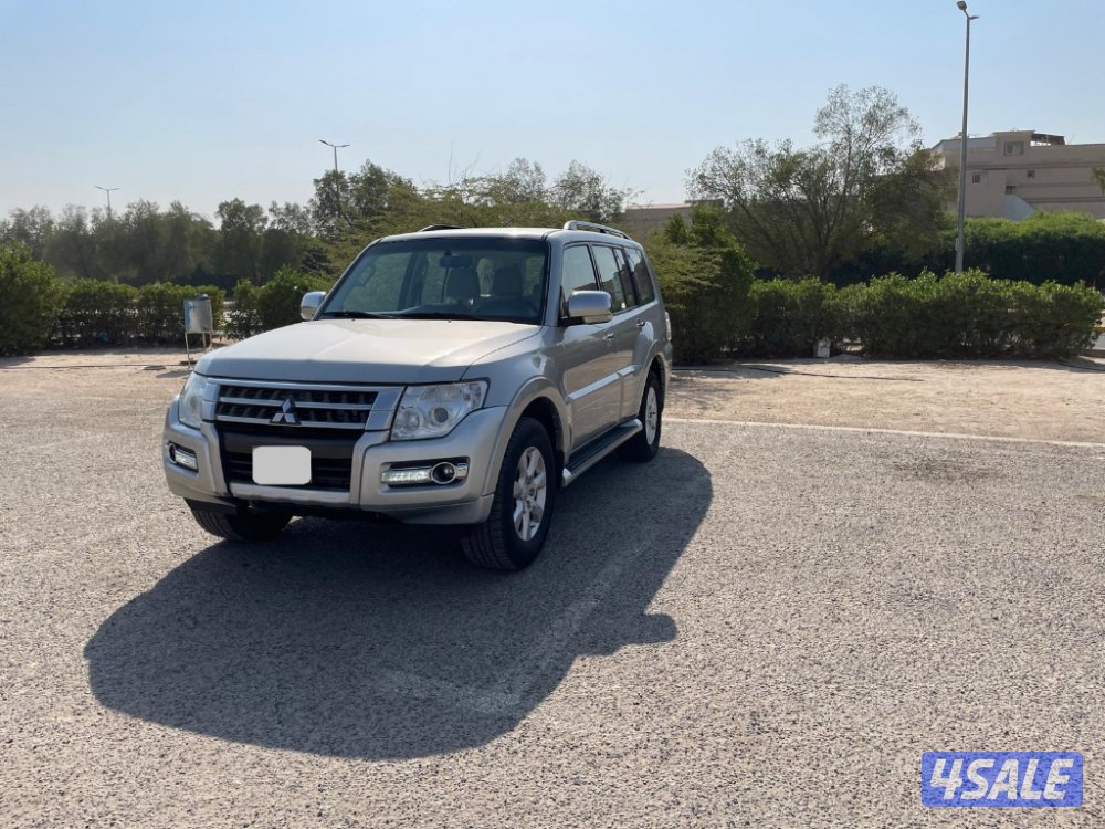 Mitsubishi Pajero20201