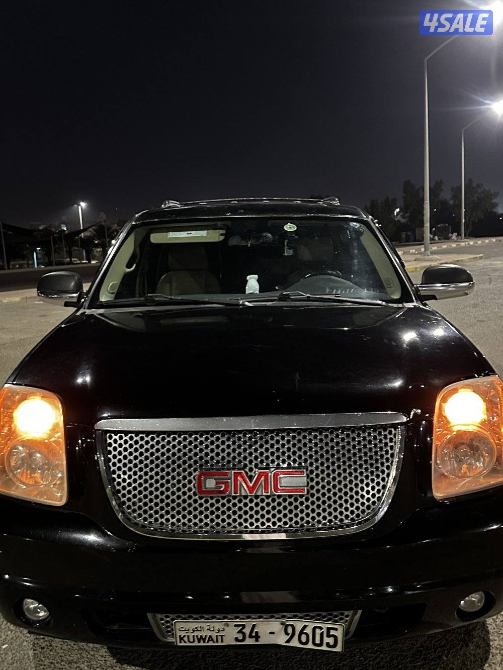 للبيع دينالي 20091