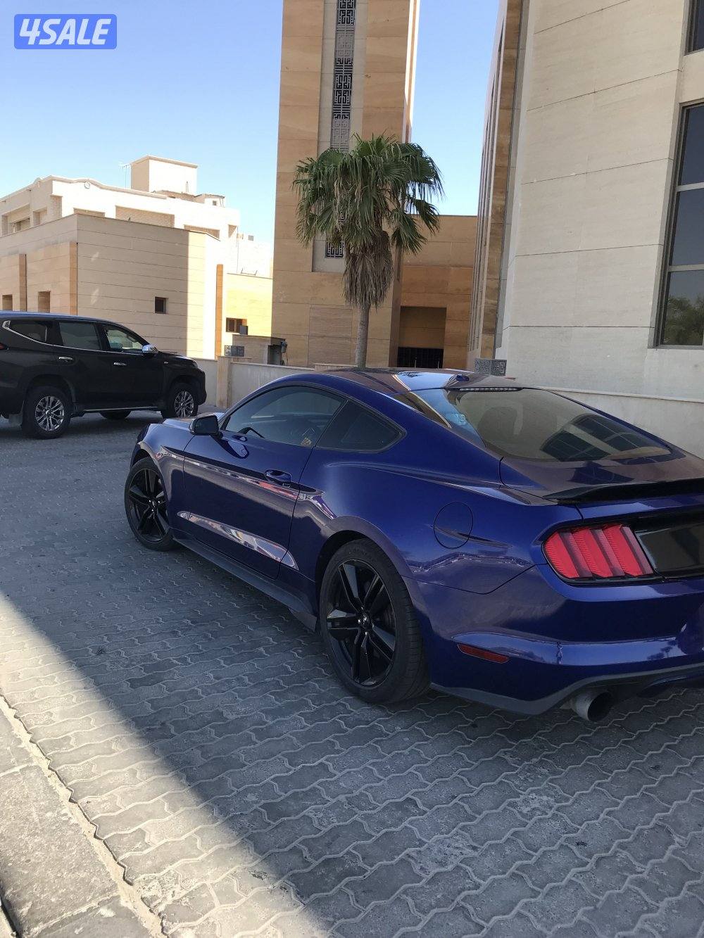 موستنق 2015  قمه بالنظافه وشرط الفحص4