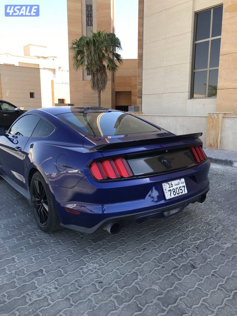 موستنق 2015  قمه بالنظافه وشرط الفحص6