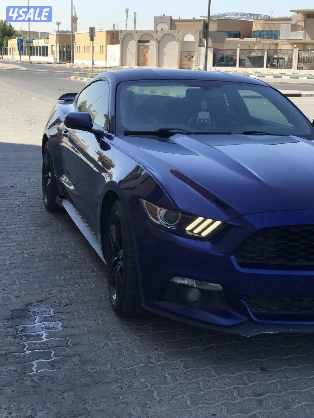 موستنق 2015  قمه بالنظافه وشرط الفحص7