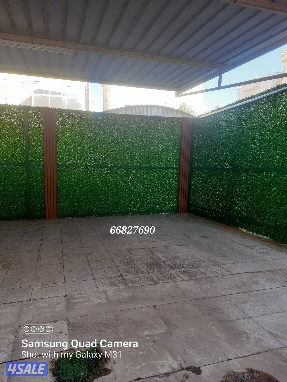 حداد مضلات محمد شاهباز7