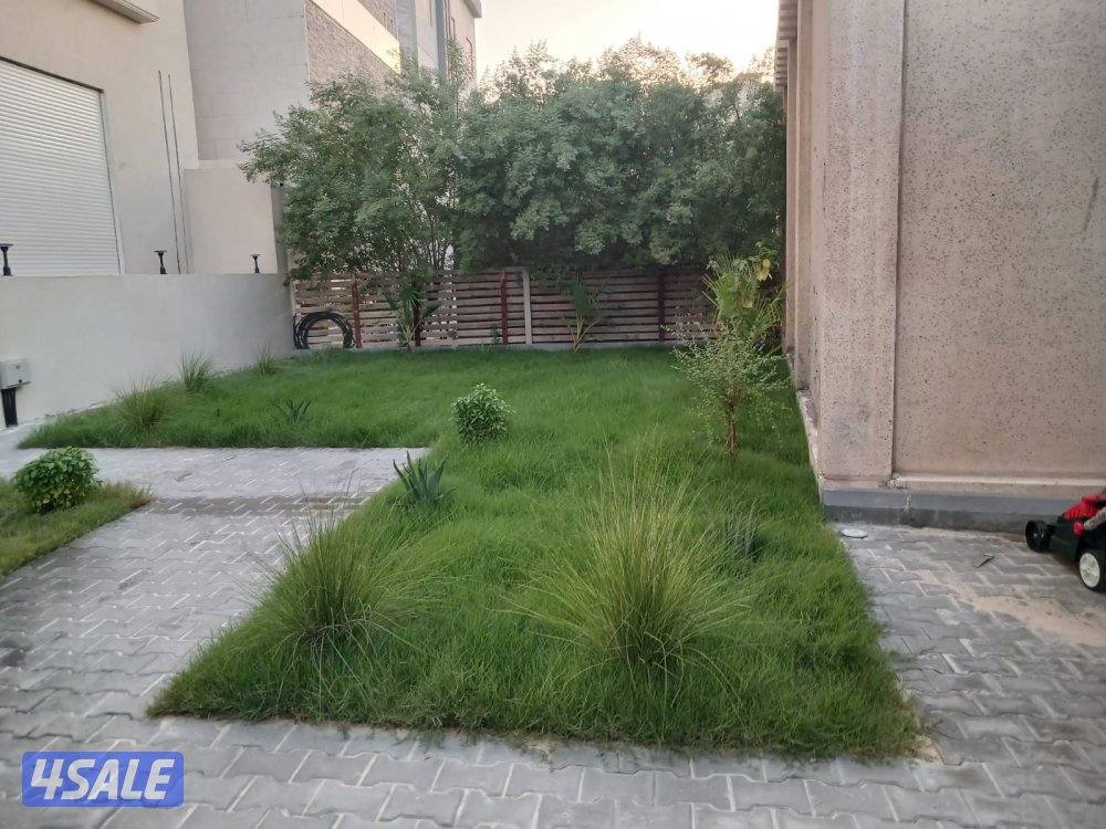 تنسيق حدائق ابو علي0