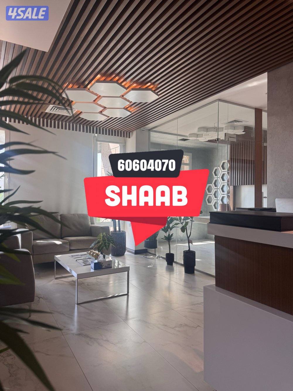 🟦🟦 الشعـــب البحـــري 🟦🟦0