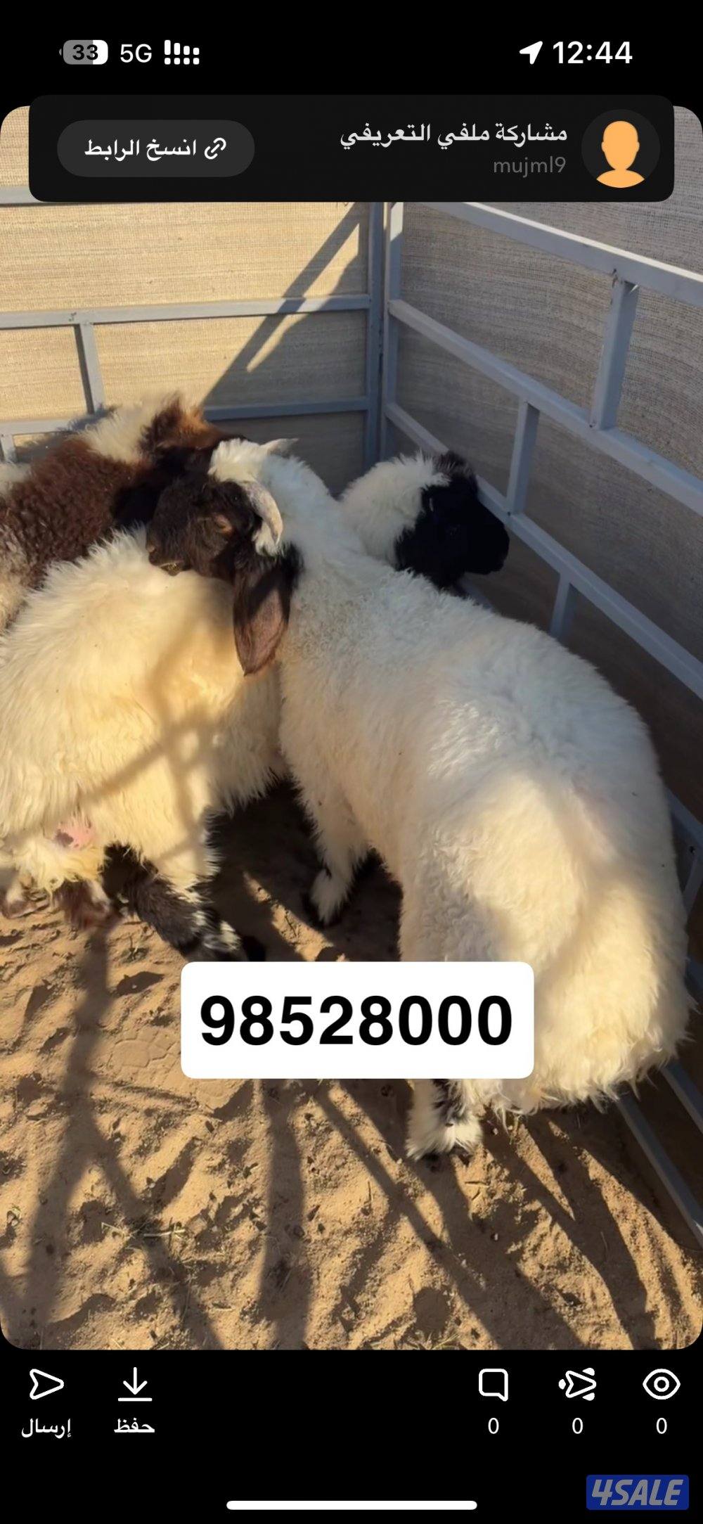 ذبايح المبارك1