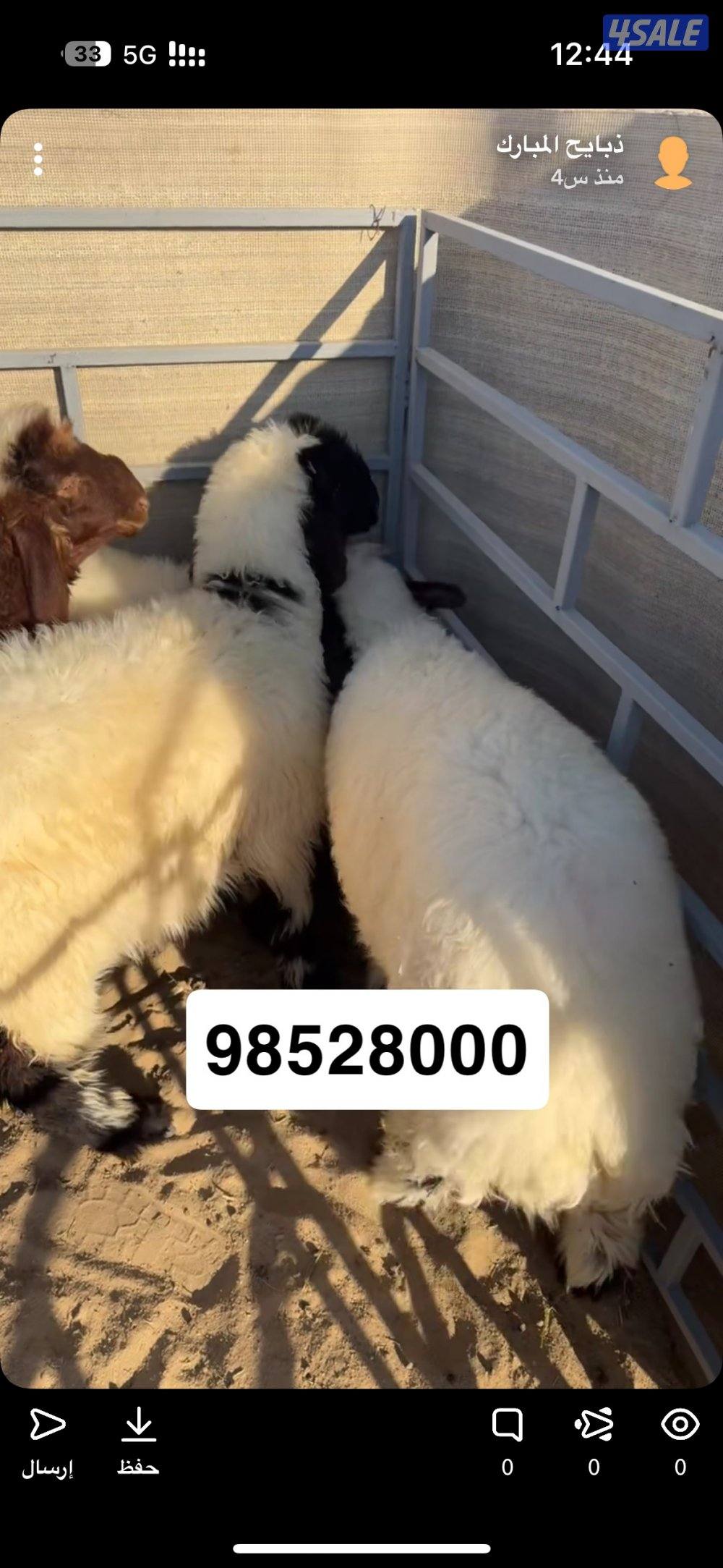 ذبايح المبارك2