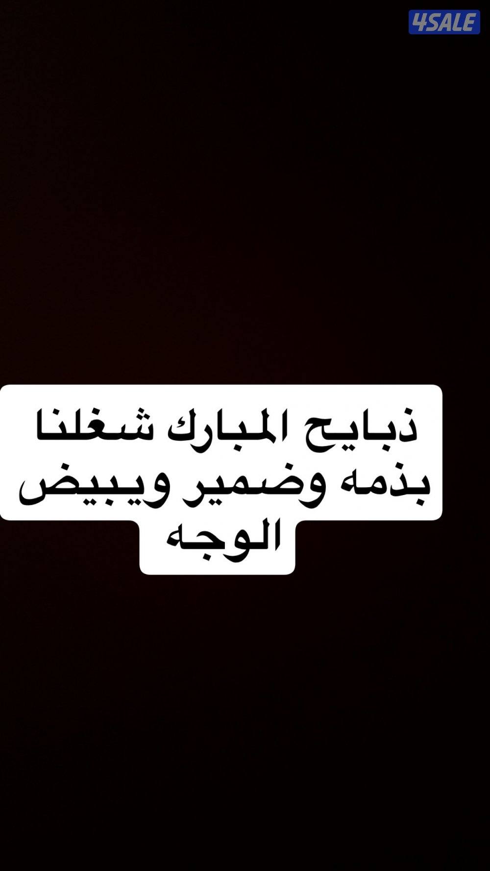 ذبايح المبارك3