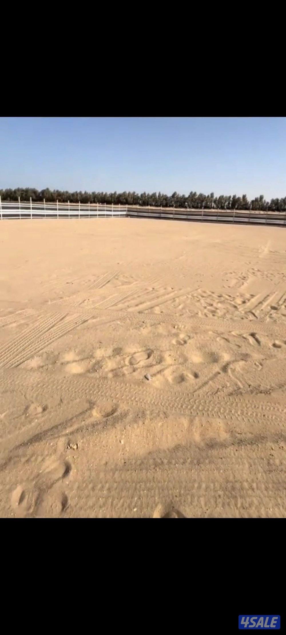 حفارة ركايز مع عامل تركيب اسوار المخيمات5