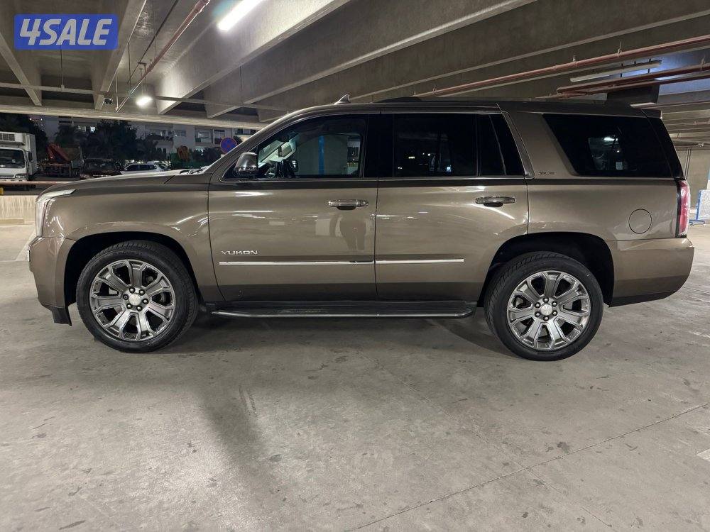 يوكن محول دينالي 20166