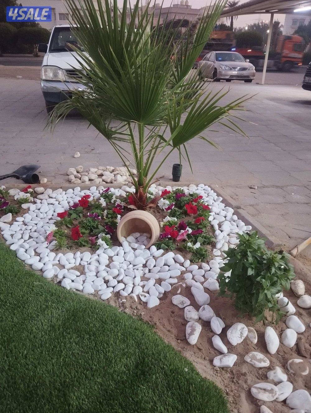 تنسيق الحدائق ابو حمزه3