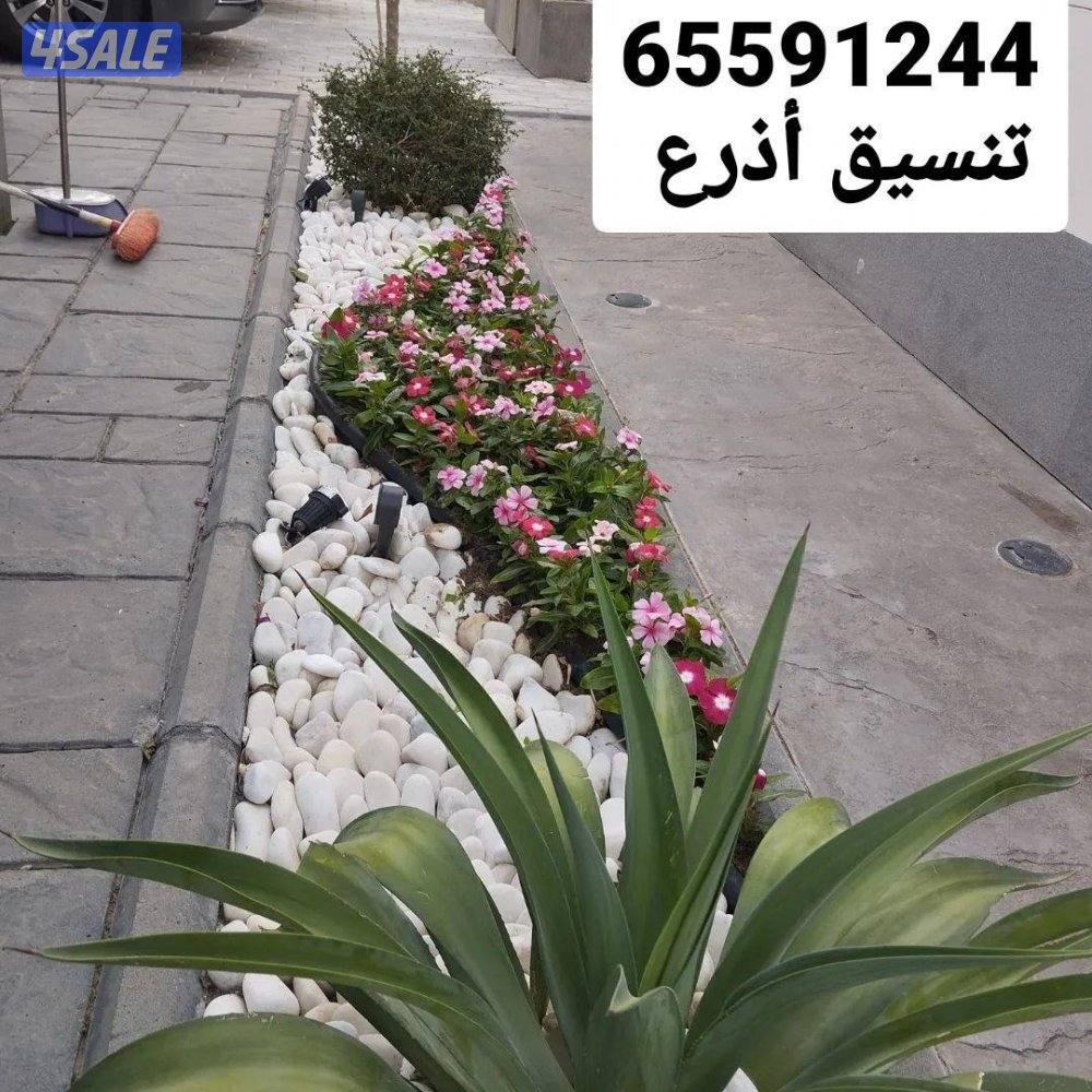 تنسيق الحدائق ابو حمزه14