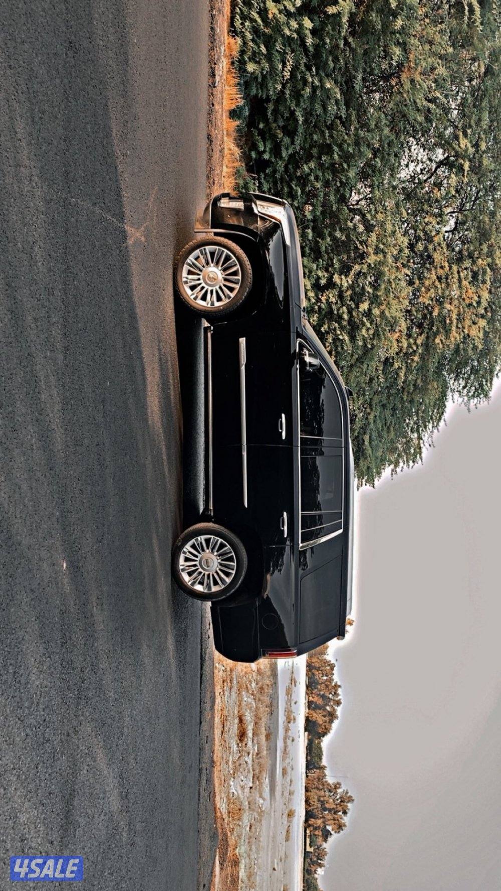 اسكليد بلاتينيوم1