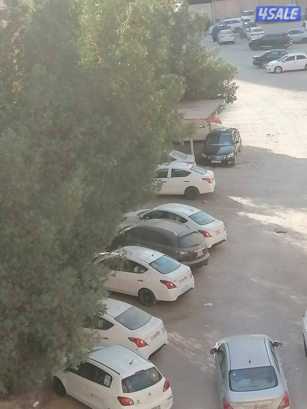 مشاركة استديو مفروش فى الدور الثالث المهبوله الايجار 50 د0