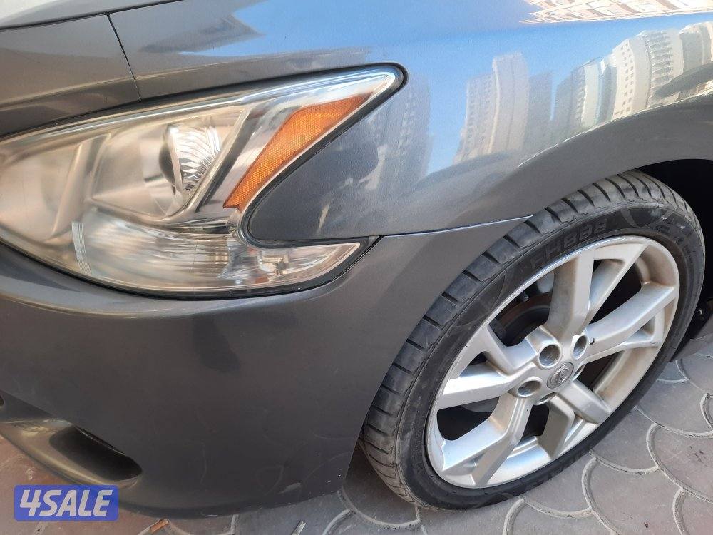 مكسيما 2014 للبيع2