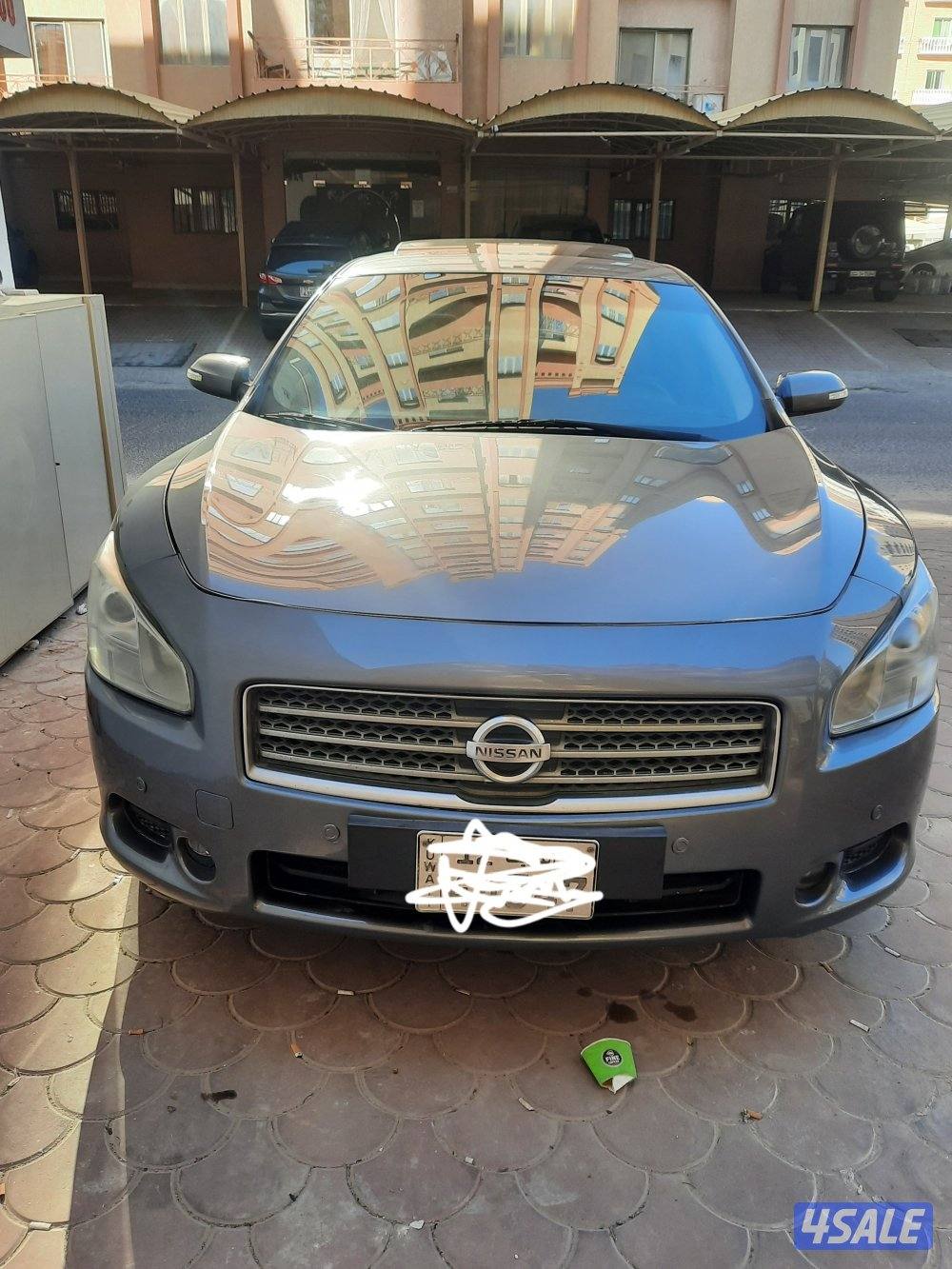 مكسيما 2014 للبيع4