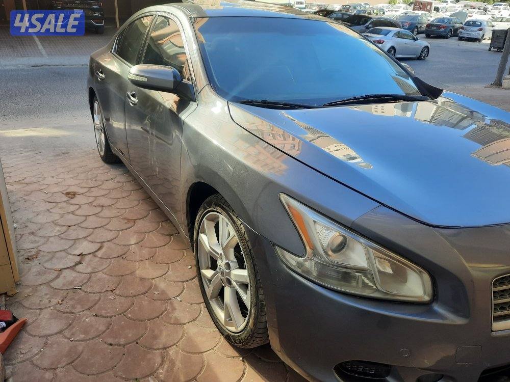 مكسيما 2014 للبيع3