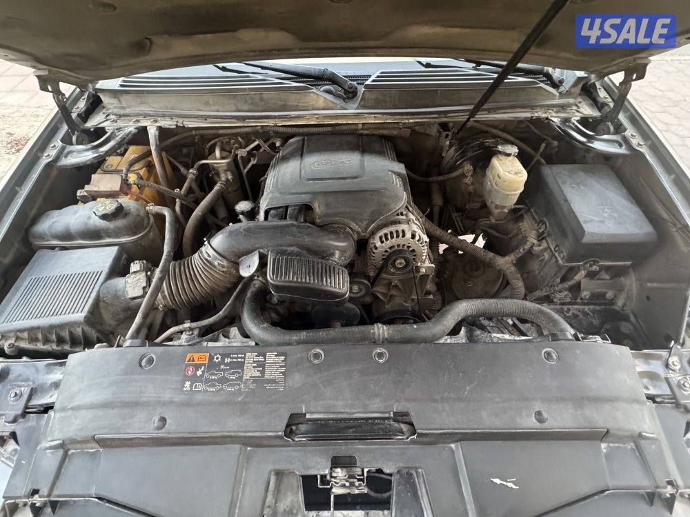 صباح السالم تاهوا ق ش م ج ت0