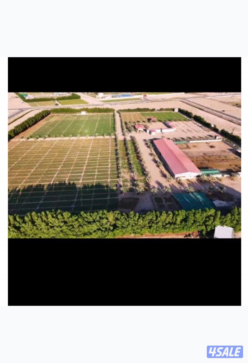 العبدلي قطعة 64