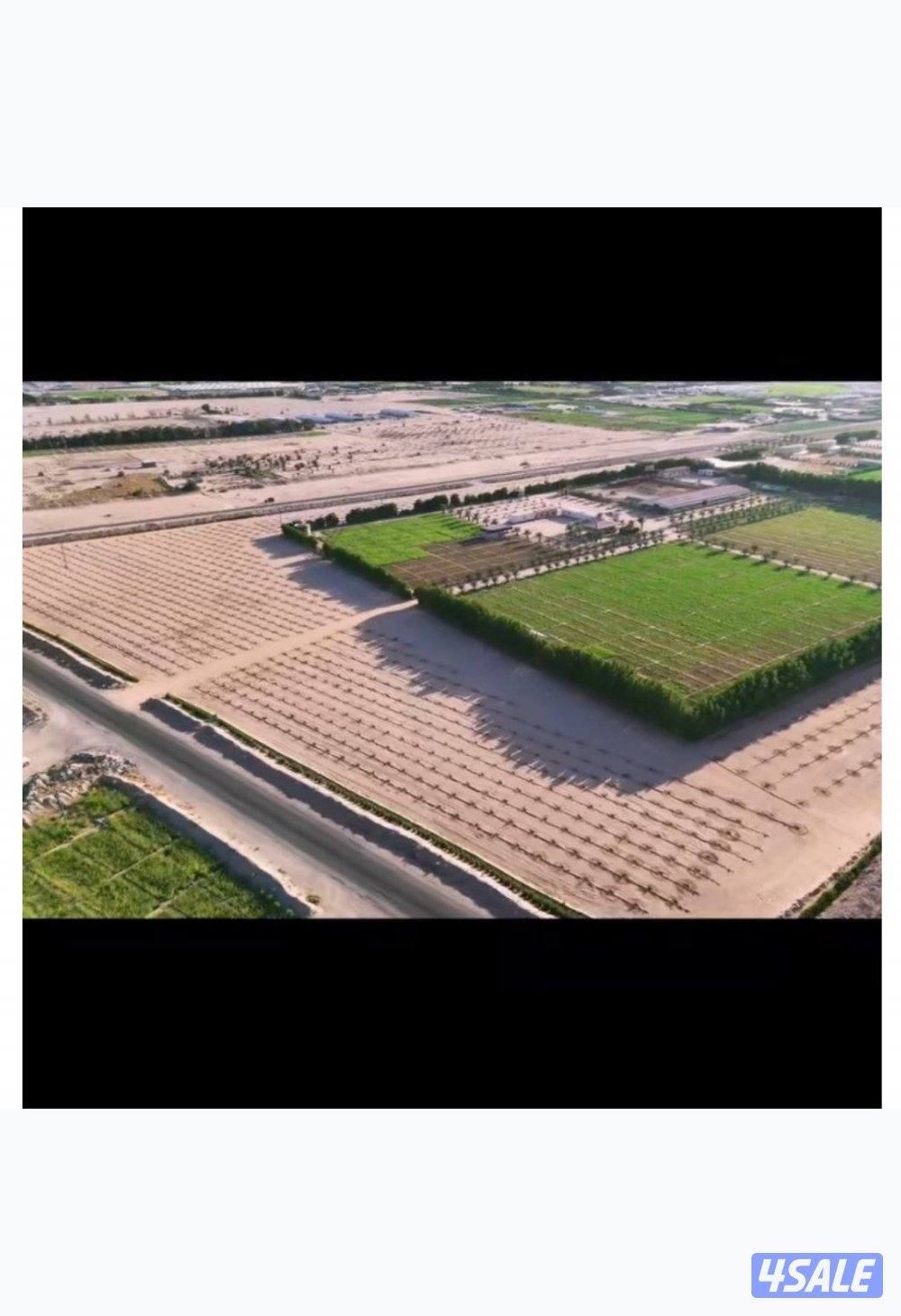 العبدلي قطعة 66