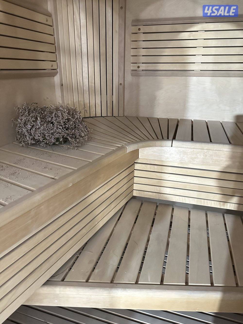 ابو الحصانية3