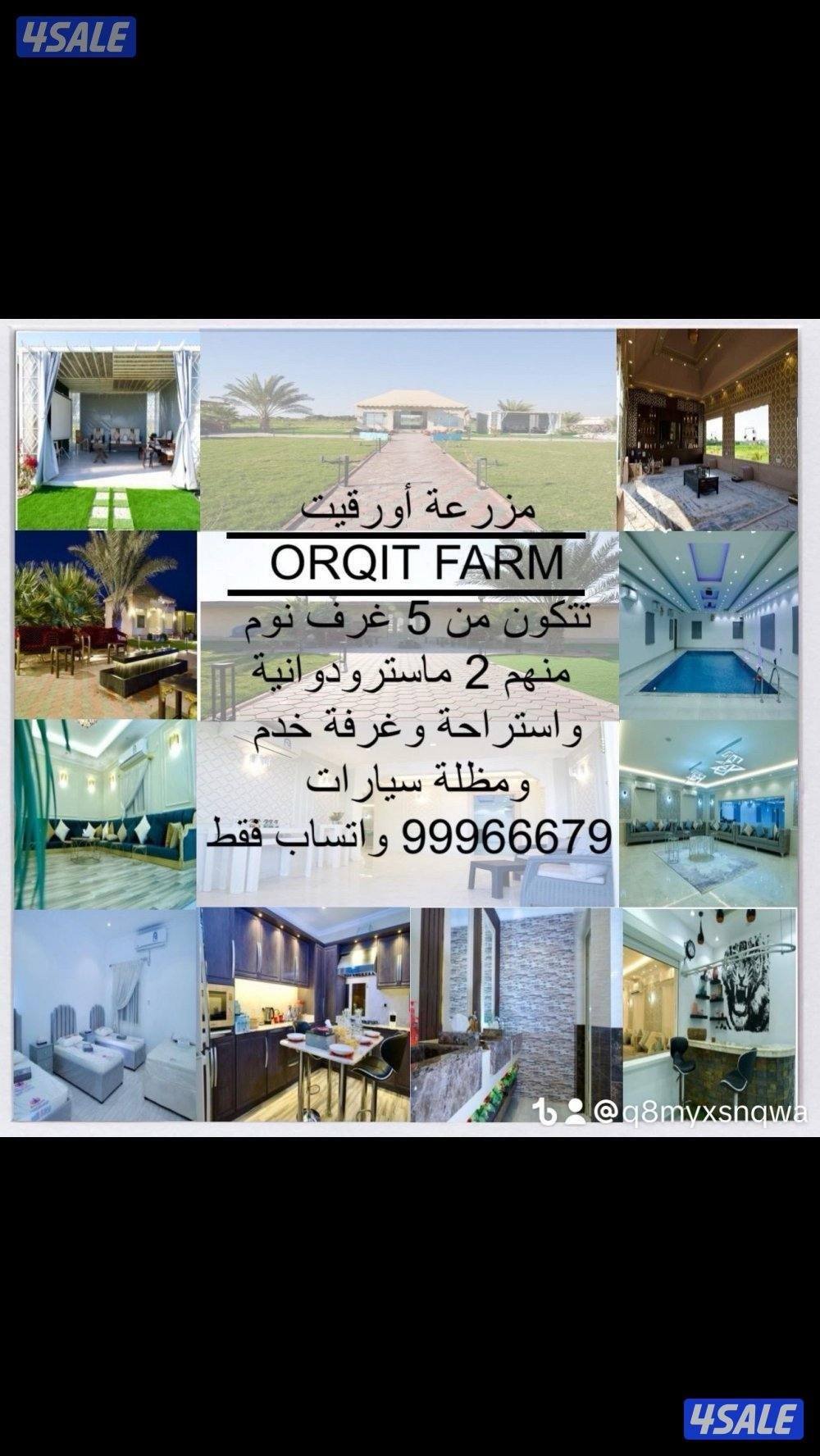 للإيجار مزرعه يومي وسبوعي بالعبدلي5