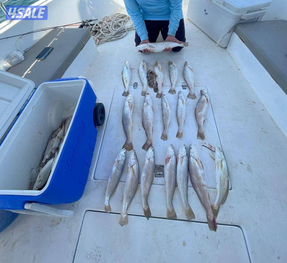 أجمل الرحلات البحريه جميع جزرالكويت حدائق شمال وجنوب توصيل فيلكه4