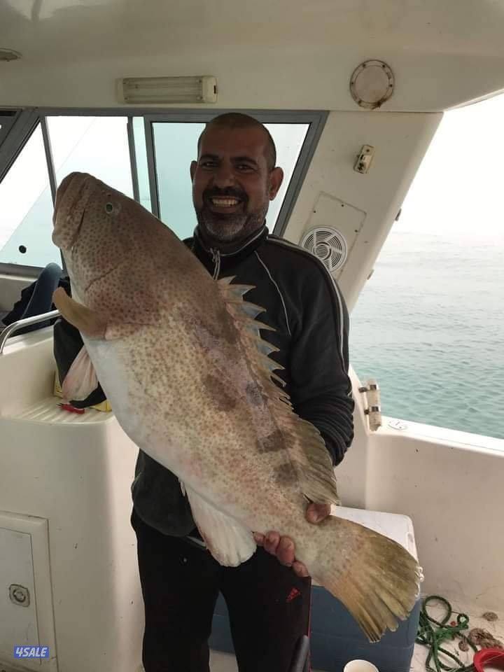 أجمل الرحلات البحريه جميع جزرالكويت حدائق شمال وجنوب توصيل فيلكه15