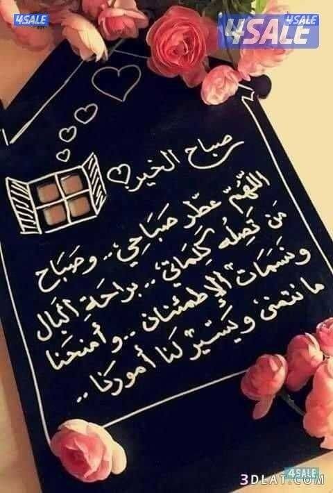 شقه المطلاع مع روف السطح0