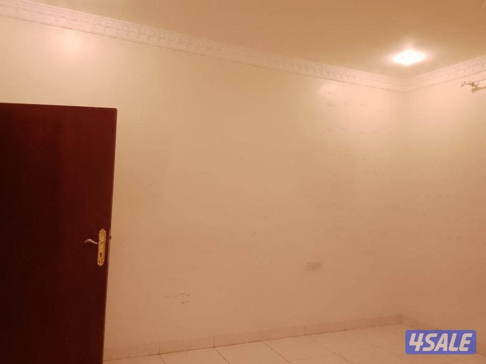 جميع انواع الاصباغ صبغ بدون رائحه نص لامعه ومطفي جميع الالوان الي تنسب3