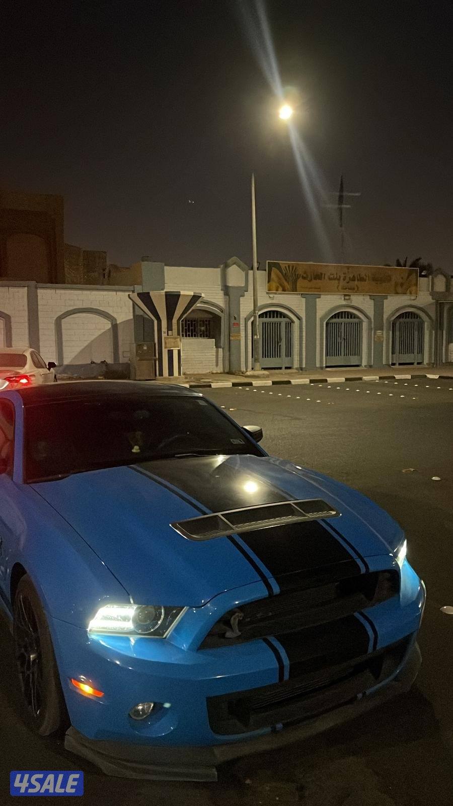 موستانج شلبي2