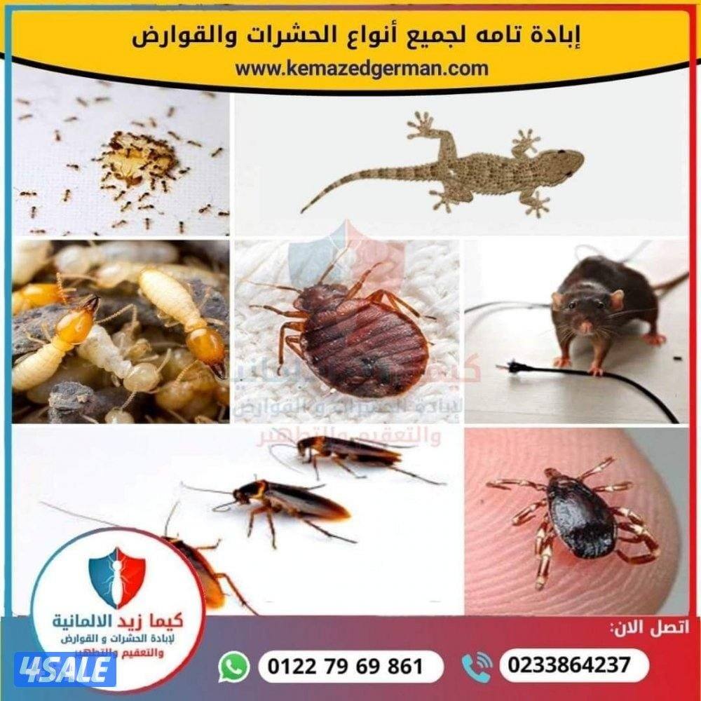 الطاقم الفني لمكافحة الحشرات والقوارض خدمه 24 ساعه اقل الأسعارمع كفاله7