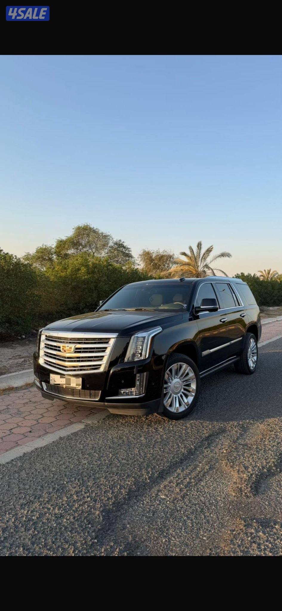 اسكاليد بلاتينيوم 20191