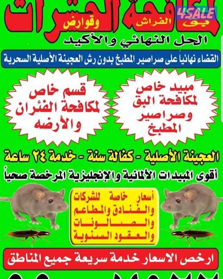 رش حشرات بالمنزل مبيدات اصليه مع العجينه الألمانيه كفاله سنه بالكويت1