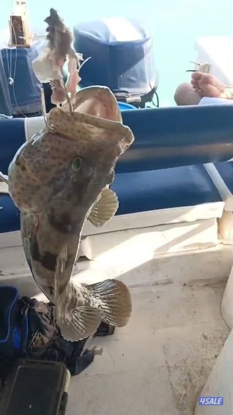 تاجير طراد حداق و نزهة ايجار طراد رحلات بحرية13