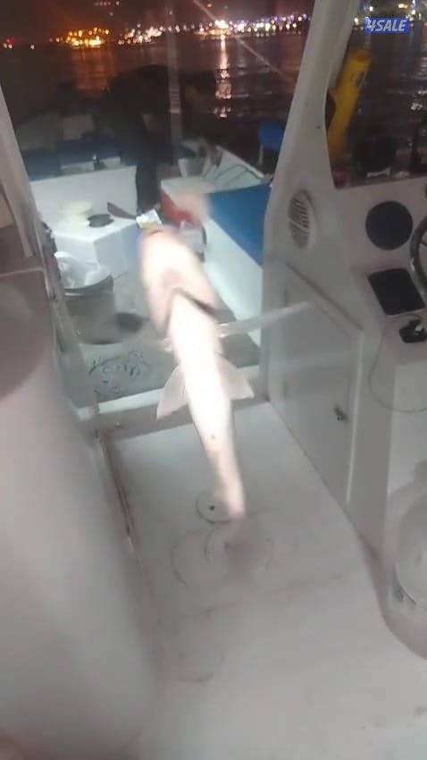 تاجير طراد حداق و نزهة ايجار طراد رحلات بحرية15