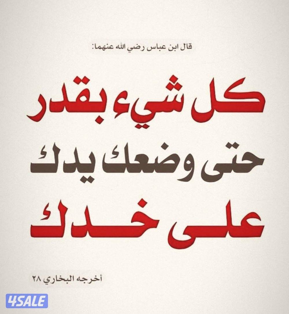 للايجار شقتان فى المنقف فى ق ١ وق ٤0