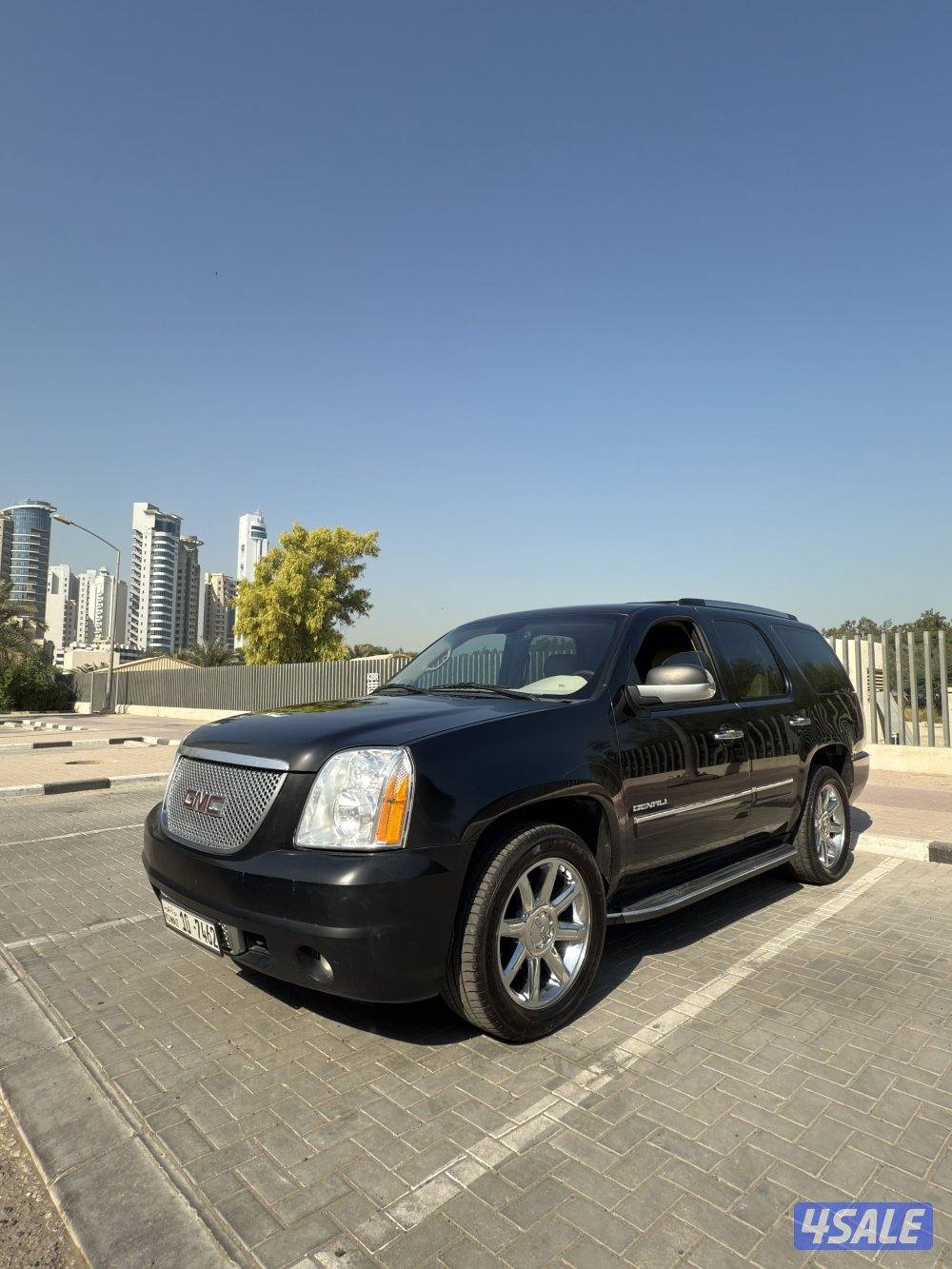GMC Denali 20100