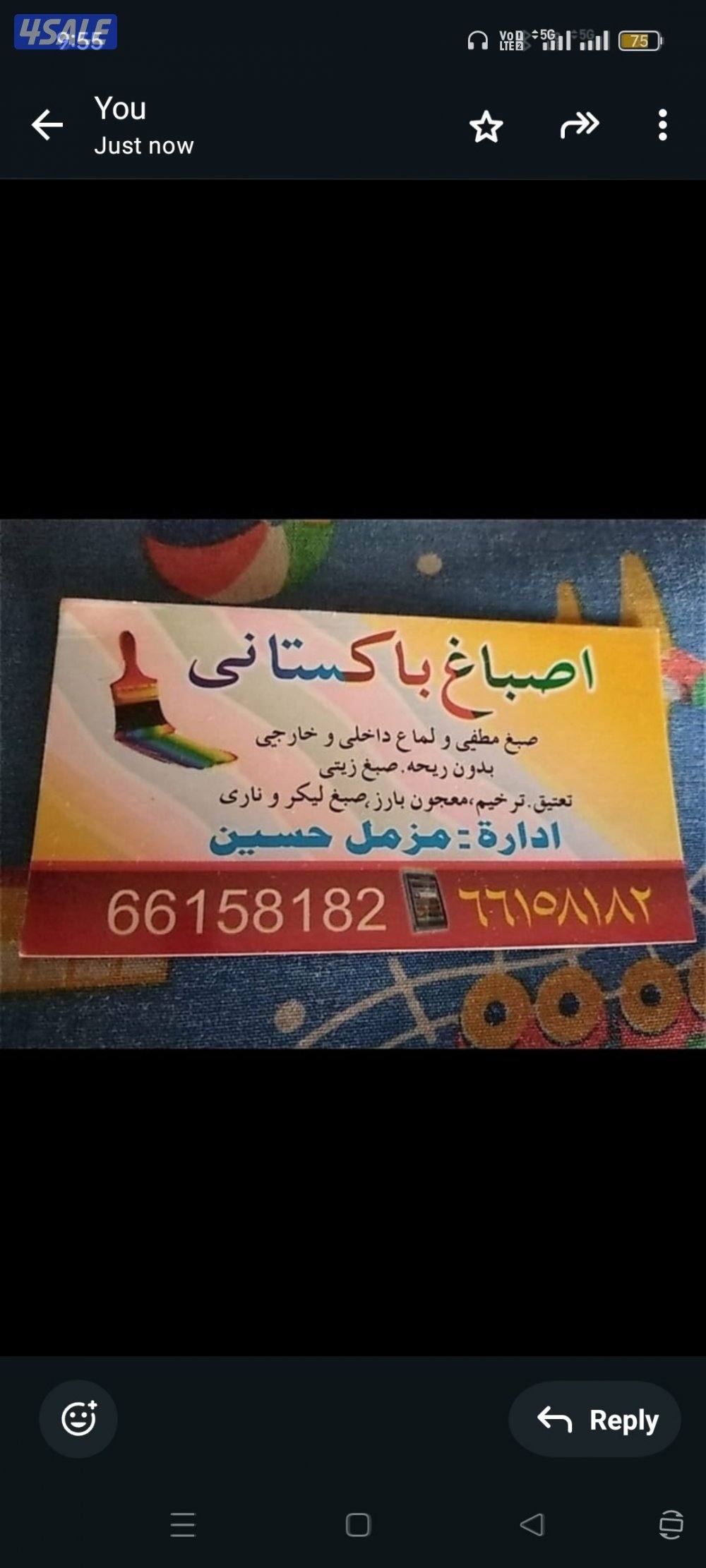 اصباغ وديكورات باكستاني 🇰🇼0