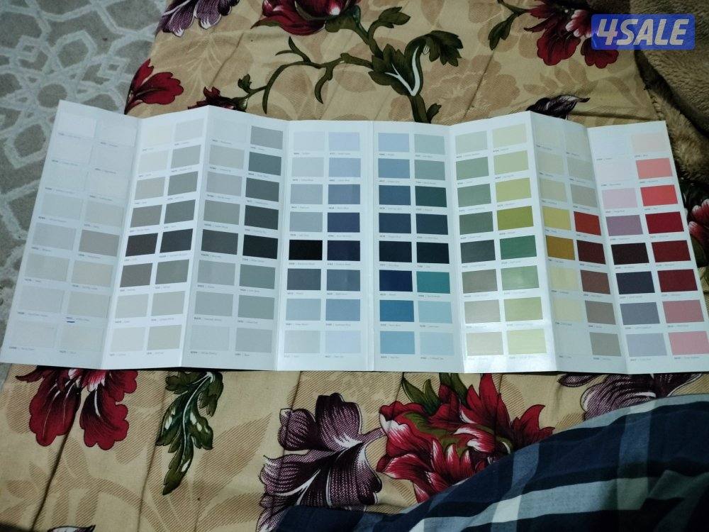 اصباغ وديكورات باكستاني 🇰🇼9