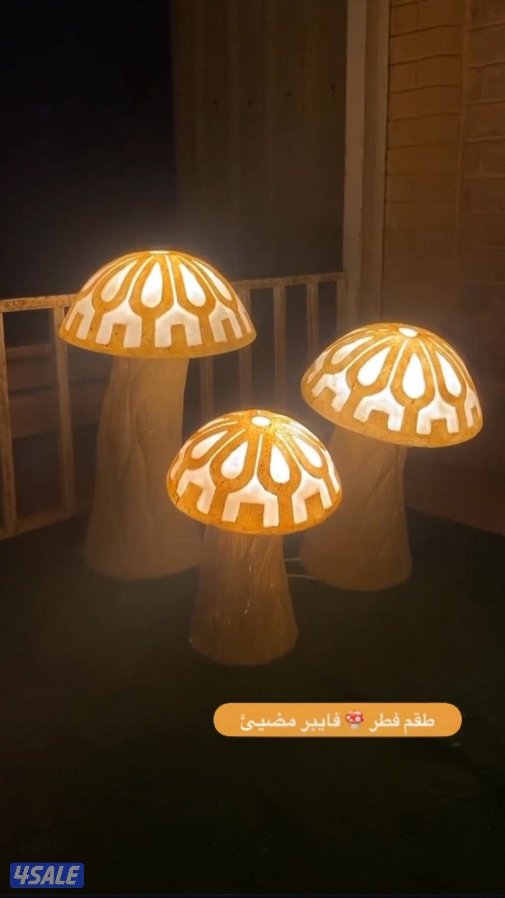 اضاءات فيبر جلاس متميزة13