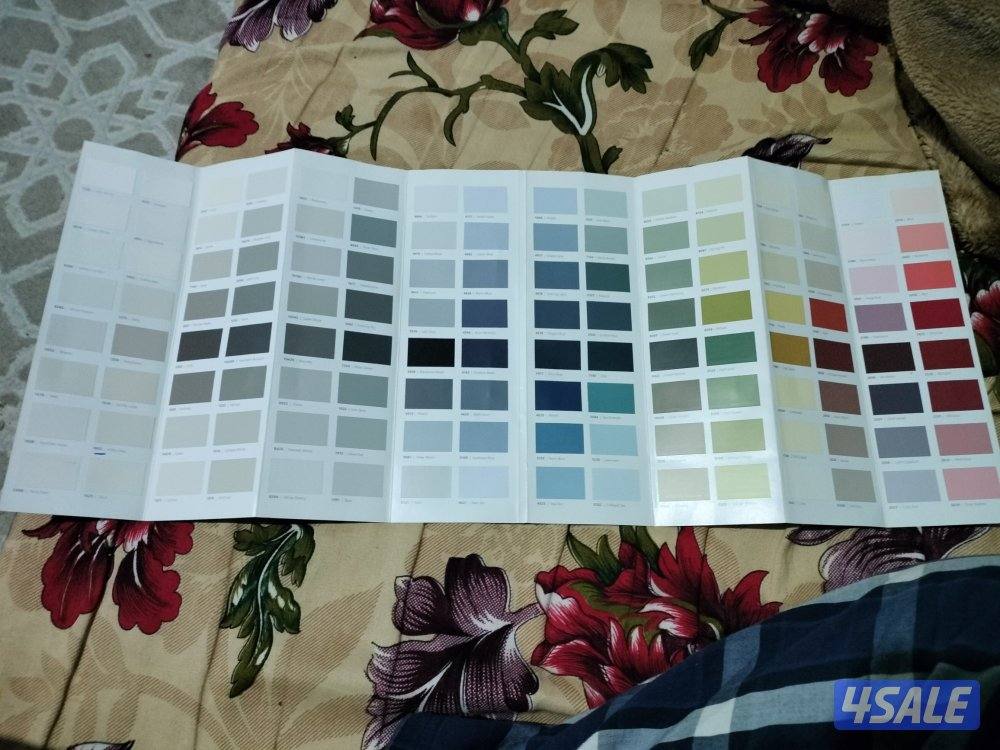 اصباغ وديكورات باكستاني 🇰🇼8