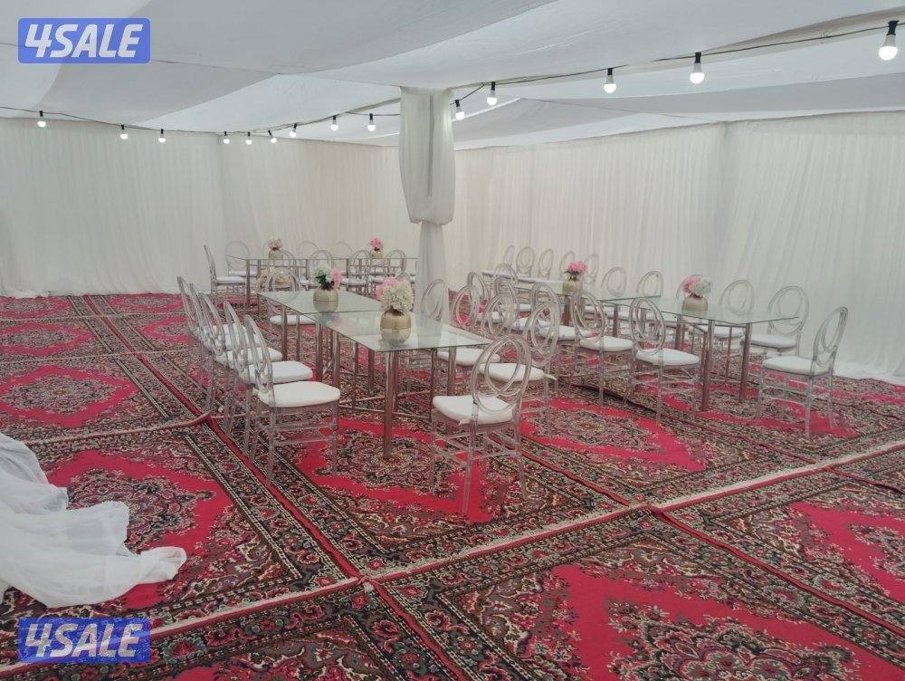 أفراح الكويت12