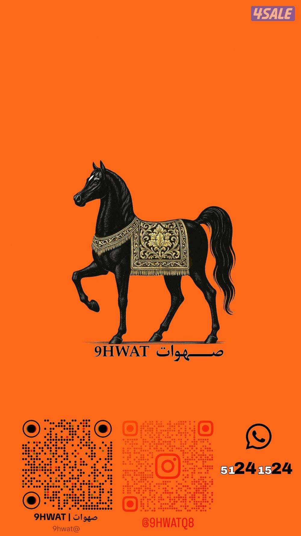 اطقم زينة للركوب جودة عالية0