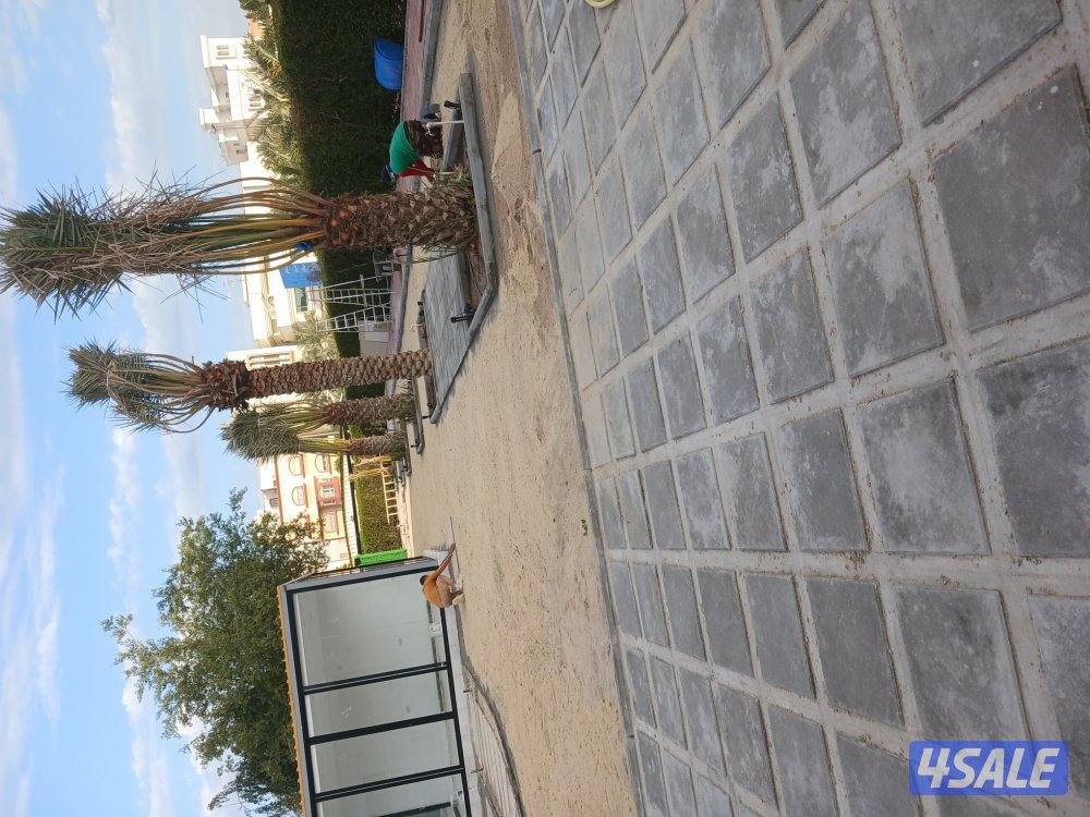 معلم فني لتركيب وتوريد البلاط المتداخل والكربستون وتنسيق الحداق12