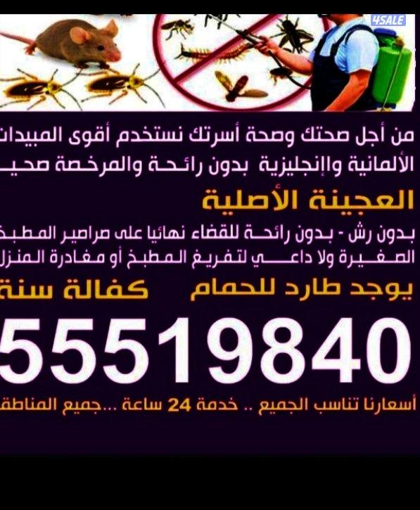 مكافحه جميع انواع الحشرات الصراصير الصالونات النسائي والمطاعم والمقاهي0