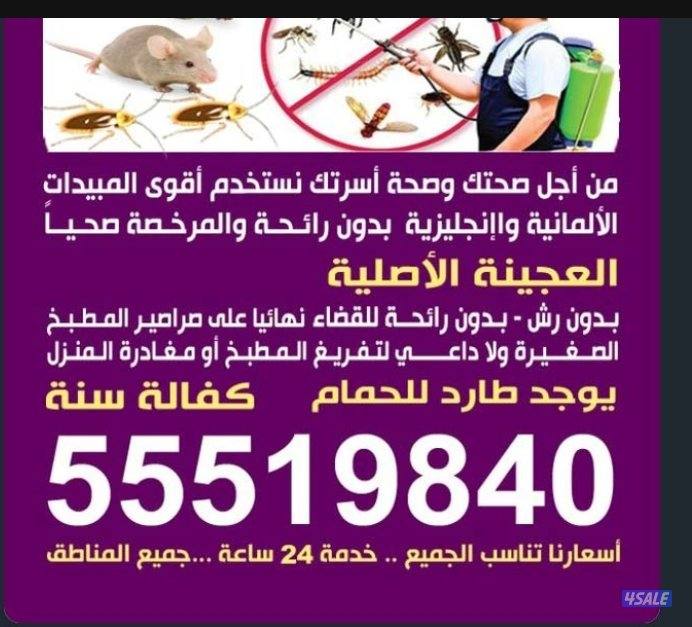 مكافحه جميع انواع الحشرات الصراصير الصالونات النسائي والمطاعم والمقاهي1