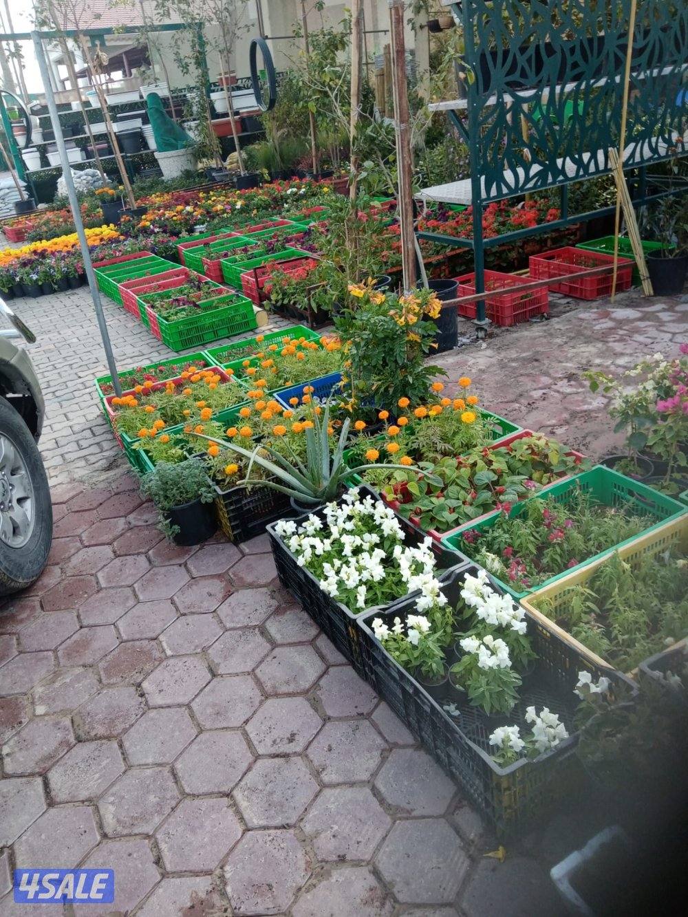 للبيع وتوريد التيل الصناعي والسور التركي بسعر الجمله9